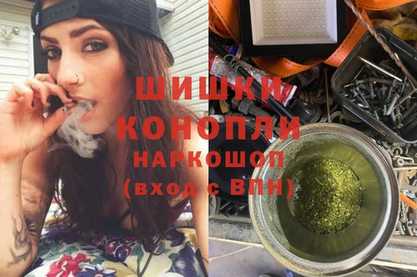 винт Богданович