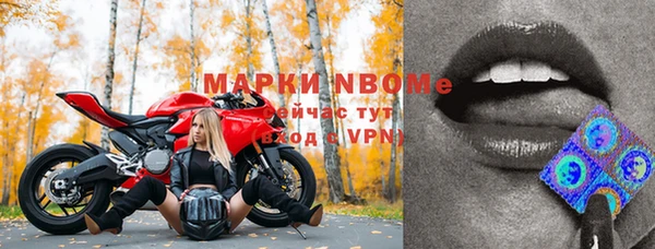 винт Богданович