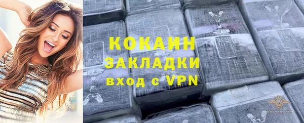 винт Богданович