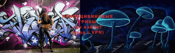винт Богданович